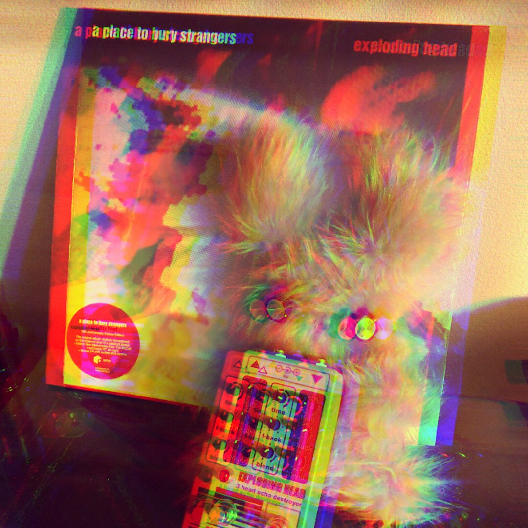 xxxciyb's tweet photo. Reverb LTD 500
"EXPLODING HEAD"

来日公演前に届きました…！！！
興奮しすぎて月蝕なんてそっちのけです。

早く爆音で鳴らしたい♡

#APTBS #explodinghead  #mng
#shoegaze #grunge #goth #alternative #CIGARETTEinyourbed https://t.co/9YyTV3ovWt