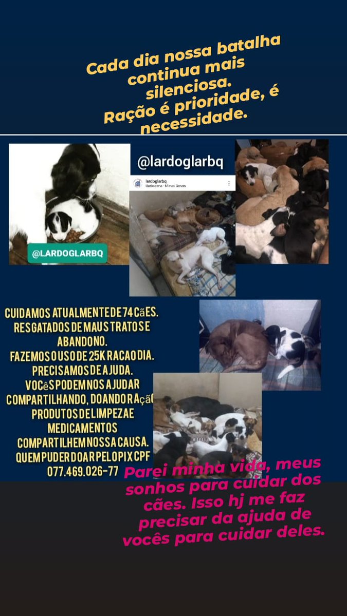 Wborgesprotecao's tweet photo. @whindersson Estou perdendo as forças.
Estou lutando sozinho.
Remando contra a maré 
Não é sobre o q quero para mim, e o que eu necessito para os 74 cães.
Sozinho não consigo.
PRECISO DE AJUDA.
São 25k DE RAÇÃO DIA.
TENHO ALTOS CUSTOS E CADA DIA ESTA MAIS DIFICIL 
MEU PIX CPF 07746902677 https://t.co/kYRwyEM1Jb