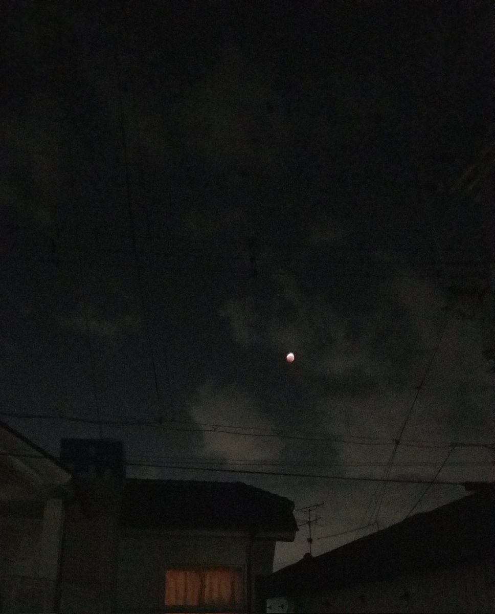 8310tadasH's tweet photo. 天体ショー見たよ🌙
＃「皆既月食」 https://t.co/QSPlZV98VY