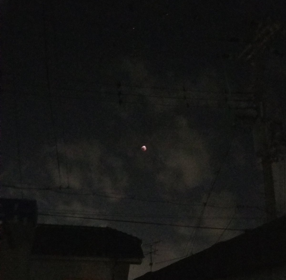 8310tadasH's tweet photo. 天体ショー見たよ🌙
＃「皆既月食」 https://t.co/QSPlZV98VY