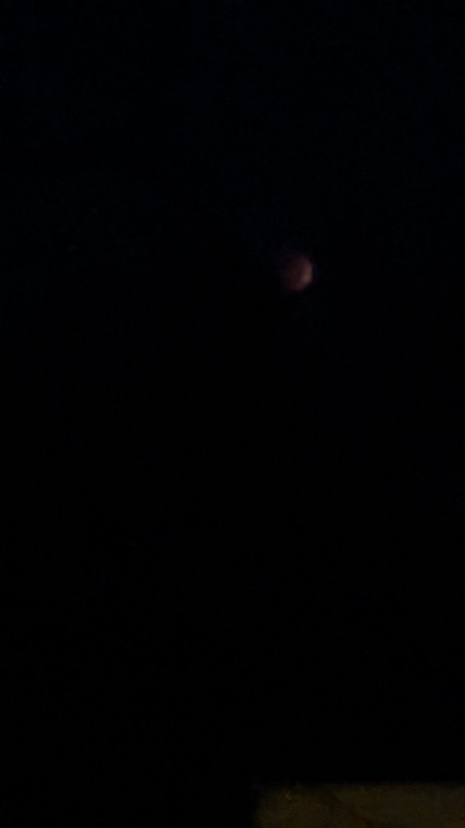 jonginsberg's tweet photo. @dougkammerer https://t.co/UO5Uozp5qP