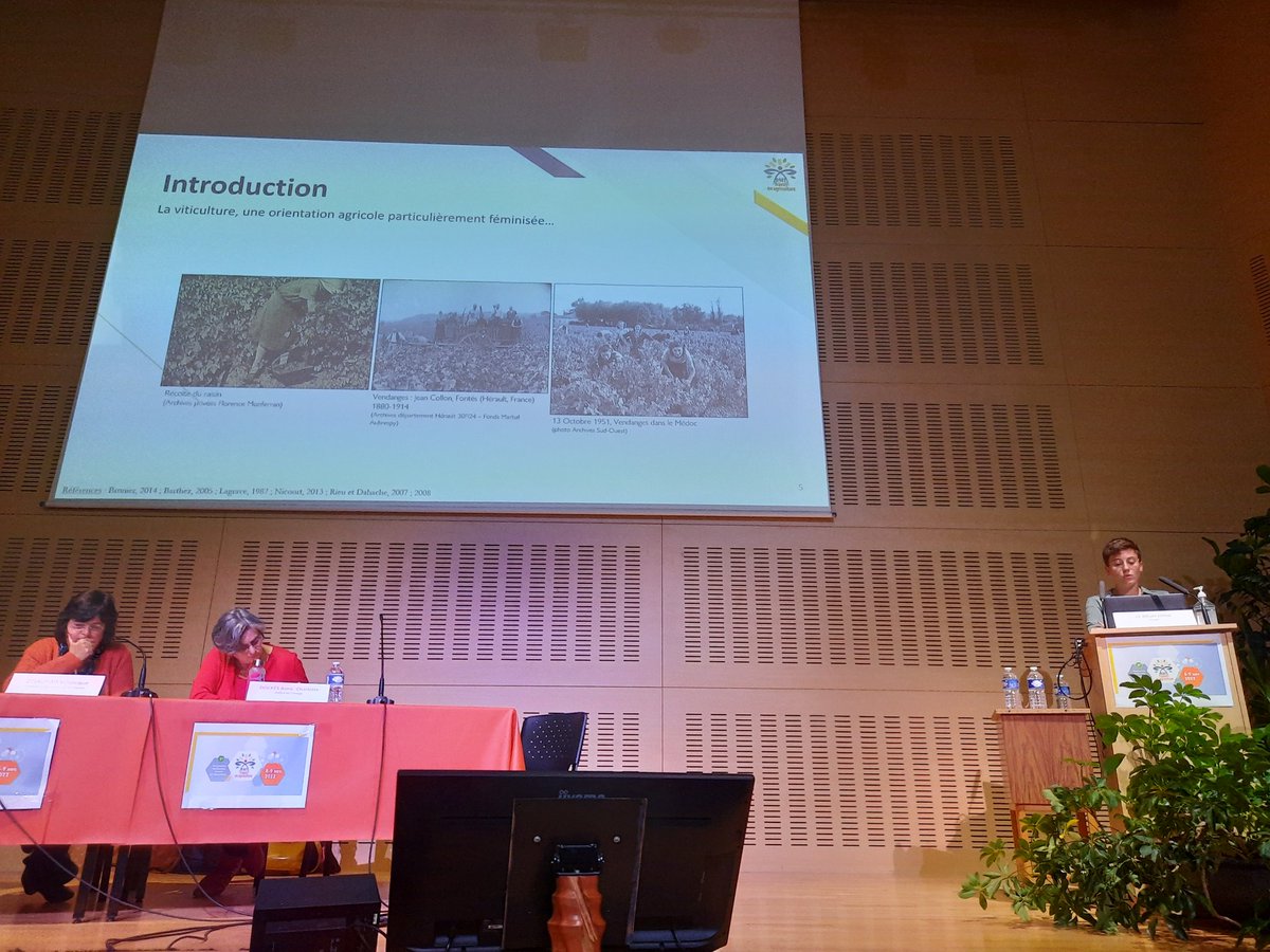 Elsa Delanoue tweet media