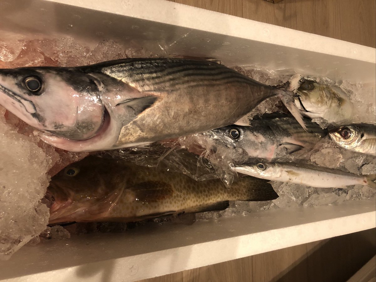 魚類ハッピーセット来た 