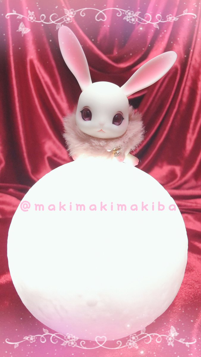mmmakiba_doll's tweet photo. 超絶可愛い白紅ちゃん🐰撮れました😍2

#sakurapaper #petdoll #bjd #ペットドール 
#ドールオーナーさんと繋がりたい https://t.co/sUapQKxeB2