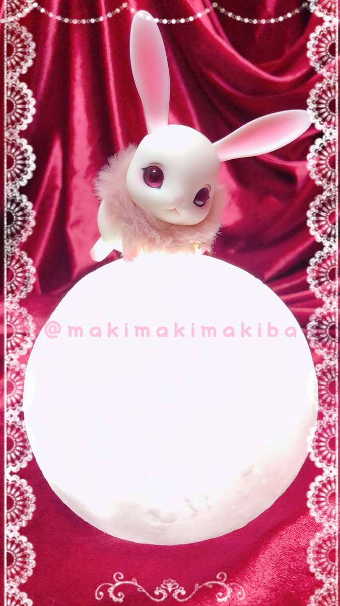 mmmakiba_doll's tweet photo. 超絶可愛い白紅ちゃん🐰撮れました😍2

#sakurapaper #petdoll #bjd #ペットドール 
#ドールオーナーさんと繋がりたい https://t.co/sUapQKxeB2