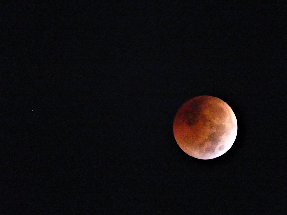 MMoore_hoops's tweet photo. #BeaverMoonEclipse #SunsetBeach @EdPiotrowski @medwick @ChrissyKohler @Em_I_Am @WXIIJackie @JustinMcKeeWx @LeeHaywoodWX @ramelcarpenter @marioncaldwx @RealSaltLife @StarboardRail @StormHour @ThePhotoHour @Christina4casts @AndrewWMBF @CMorganWX @AlexCorderoWX @KimRatcliffWECT https://t.co/wFOITxT5cn