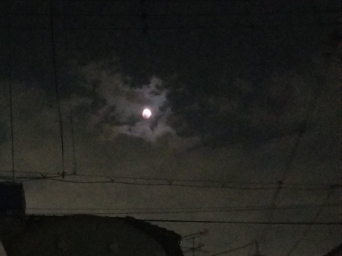 8310tadasH's tweet photo. 天体ショー見たよ🌙
＃「皆既月食」 https://t.co/QSPlZV98VY