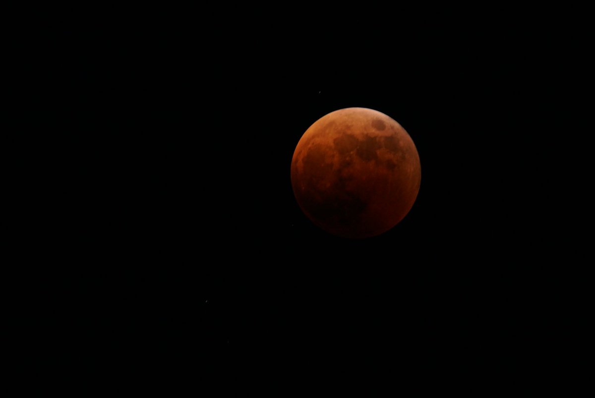 HAOcamp's tweet photo. 全部隠れました。
この後は、20時32分頃に天王星(暗い六等星)が月の左の方から隠れていきます。皆既月食中に惑星食がおきるのは442年ぶりらしいので、望遠鏡があるご家庭は挑戦されてみてはどうでしょうか?
月が明るくなり始めるのは20時42分からです。
#枚方市　#野外活動センター　#月食　#天王星 https://t.co/pSDYQLnUbO