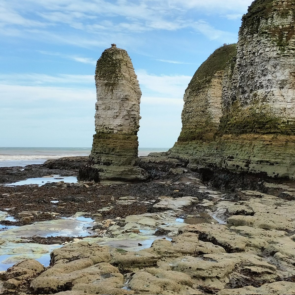 WGS Geog tweet media