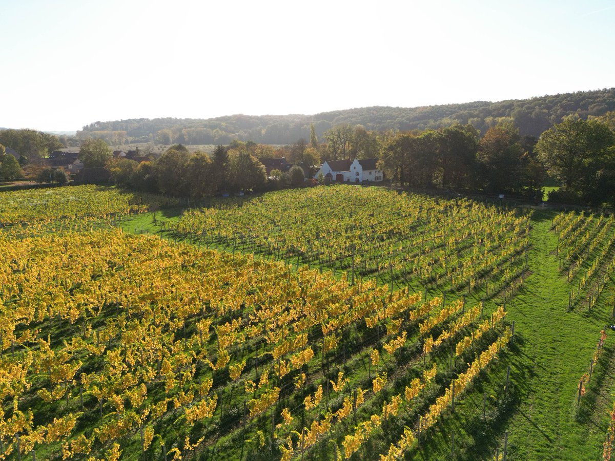 All things Autumn...

#autumninourvineyard #WIJland #vineyard #châteaustgerlach #transcendtheordinary #oostwegelcollection #OCmemories #relaischateaux #deliciousjourneys #valkenburg #visitmaastricht