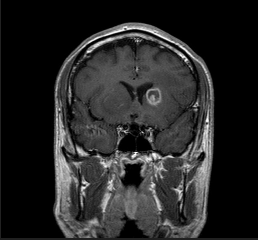 Journal of Brown Hospital Medicine tweet media