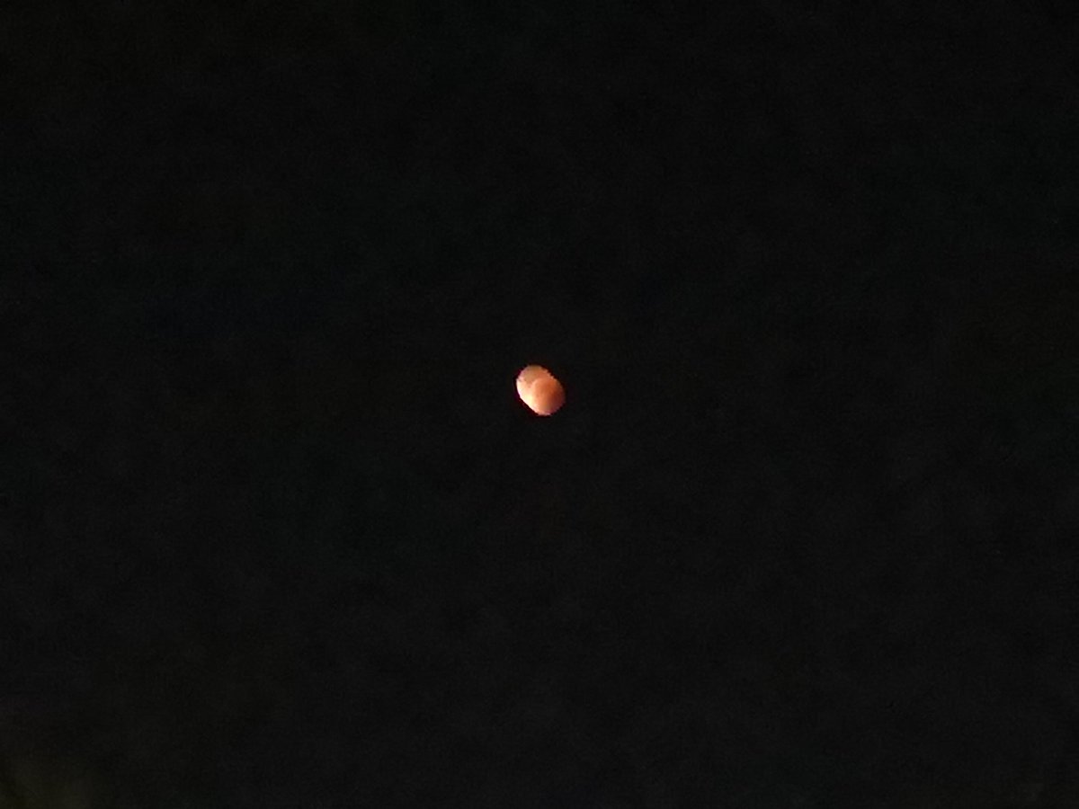 <a href="/SpacePlaceNZ/">Space Place</a> Saw the #bloodmoon tonight over #Wellington