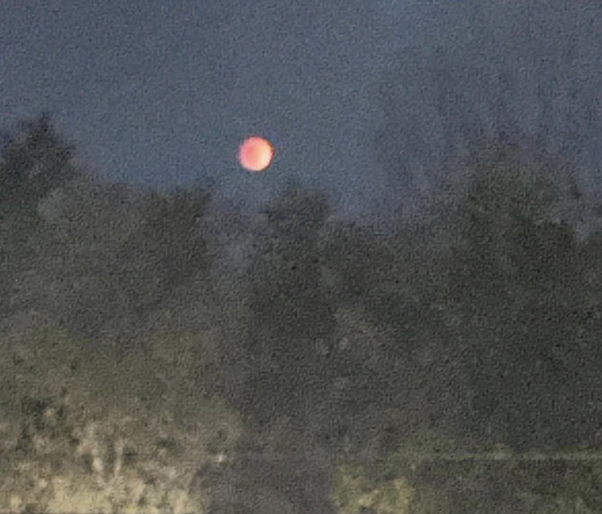 Reinald43723579's tweet photo. “The Blood Moon I got to Experience this Morning. https://t.co/ZiWNWUQBHi