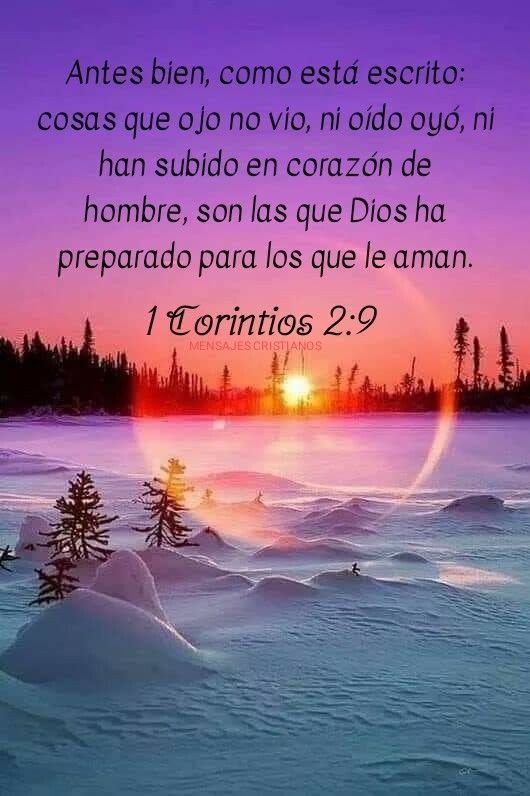 roxfiore's tweet photo. Buen día mundo... Dios ha preparado algo especial para ti. https://t.co/MC7u86qM7F