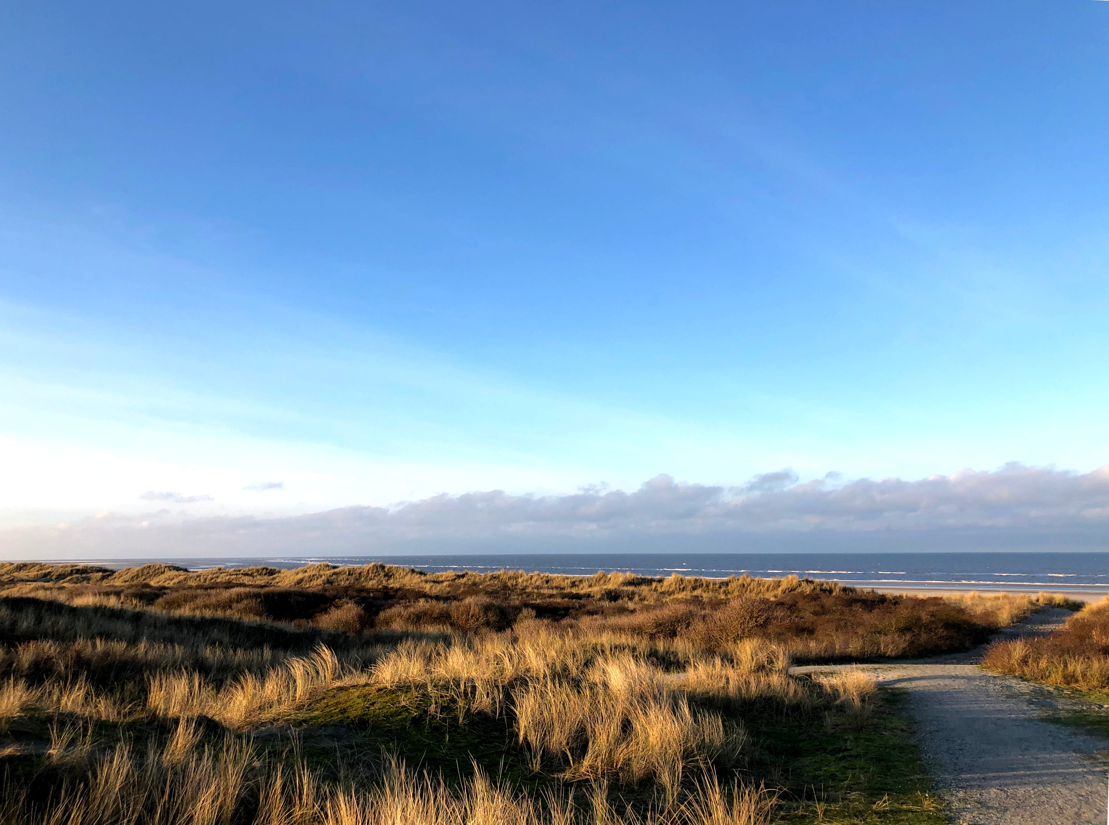 VVV Ameland on Twitter "Laat je inspireren of geniet gewoon van deze