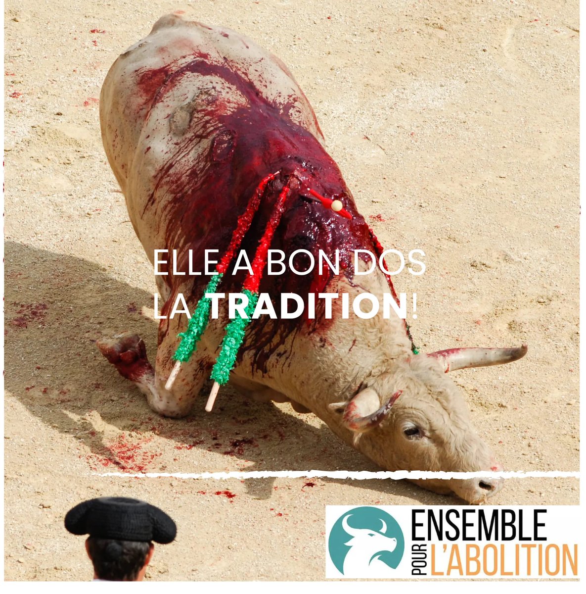 Comme dirait le fréro <a href="/ResTurner/">Res Turner</a> , la corrida : 

"Un spectacle pour pervers
S'inventant en la personne du taureau un adversaire
Un fauve, un être dangereux
Mais, faux, seuls les Hommes sont des traîtres dans ce jeu
De sadiques humains avides d'hémoglobine"...

#CorridaBASTA