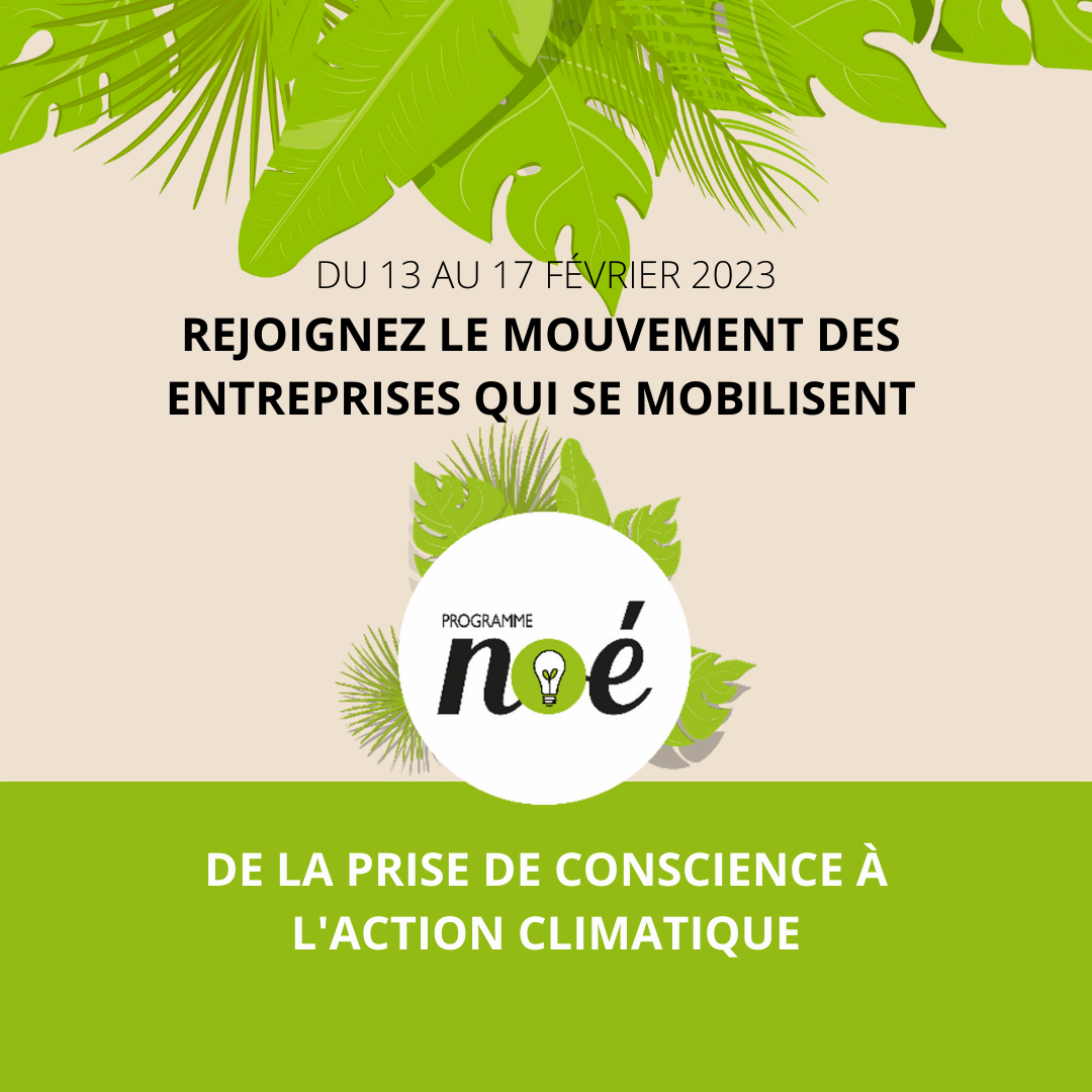 Programme Noé tweet media