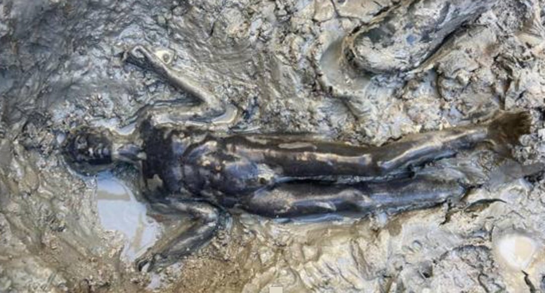PieveSuites's tweet photo. Gosh what a find! Twenty four superb bronzes, preserved in the mud at San Casciano dei Bagni for 2300 years. #tuscany #sancascianodeibagni
https://t.co/q2kK18oYUD https://t.co/EQ2AvQogyC