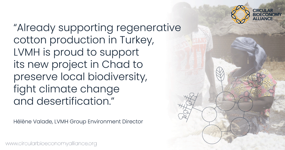 circbioalliance's tweet photo. The #CBALivingLab in Chad brings together a unique alliance of partners, with experience in diverse areas. We are pleased to work with @RESCUEorg, @reforestaction, @aPRETATERRA, @LVMH, as well as local government and research organizations. https://t.co/dJc969vSHU