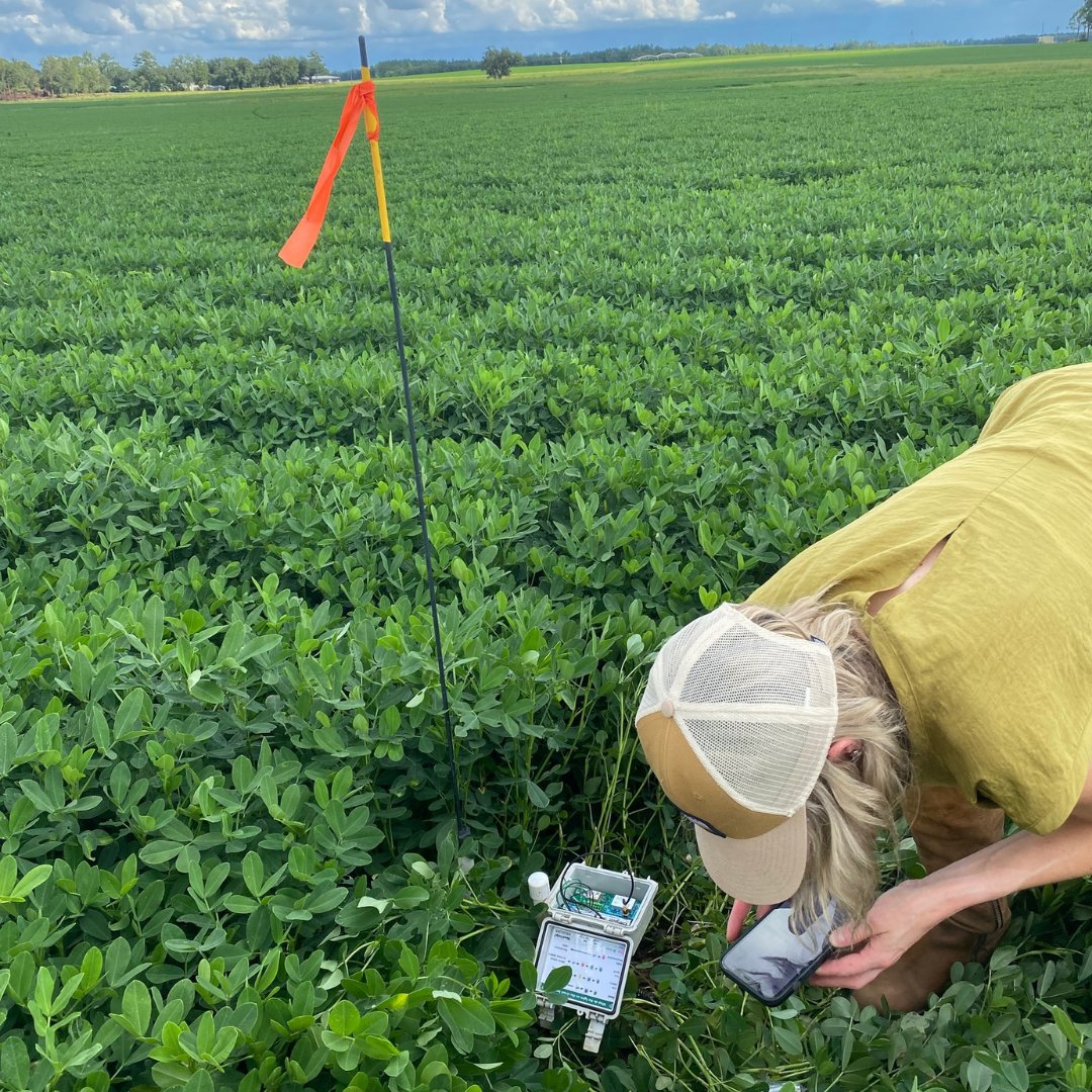 trellis_inc's tweet photo. It's #Trellistuesday! Here's a pic of a sensor station being serviced. 

#Trellisinc #farming #irrigation #peanuts #agtwitter https://t.co/jcDbKQpl7j