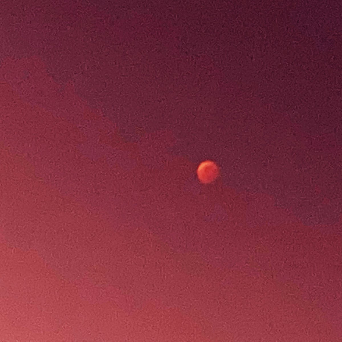 全然何かわかれへん🤣

#富田林 #カラオケ #気まぐれハート #皆既月食