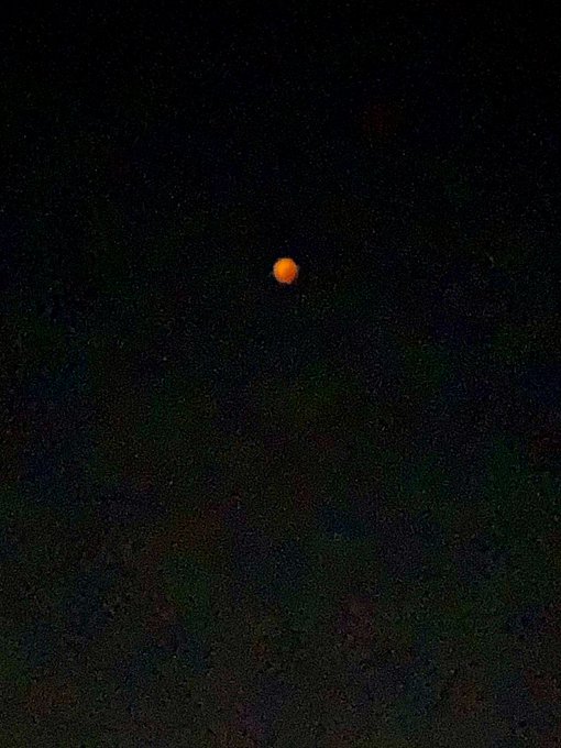 Twitterのコスプレ画像31