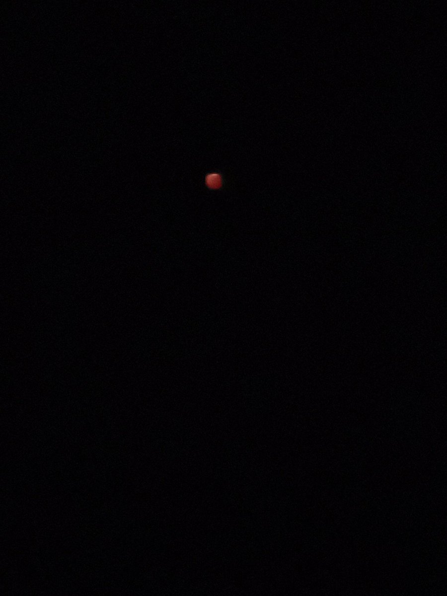 アッシュ tweet media