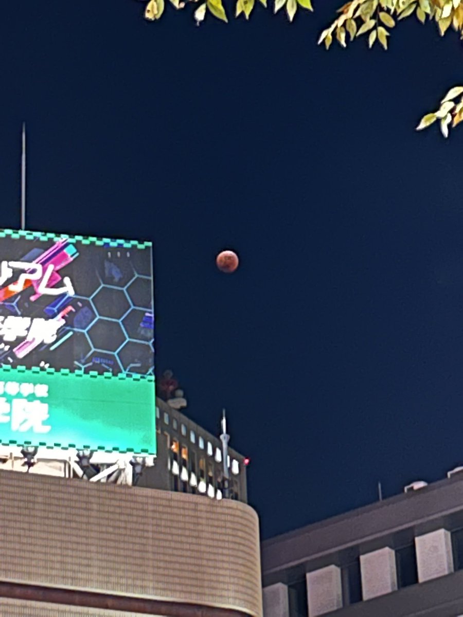 月食……だそうで