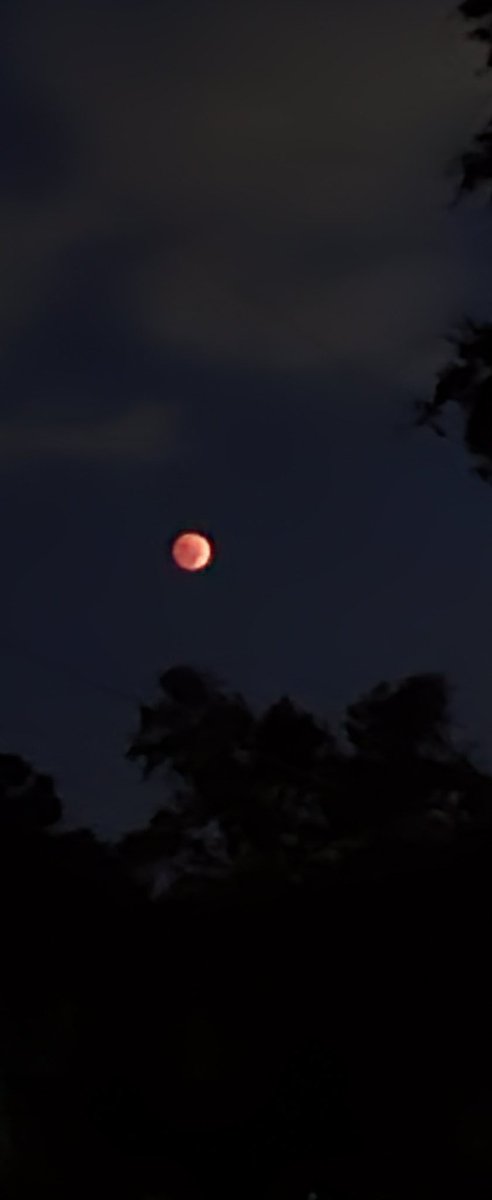 janimarie's tweet photo. @MadisonPearman @WAVY_News Savannah, GA. Watched the eclipse driving my son the the airport. Got home, then this. https://t.co/um9YrCUYx0