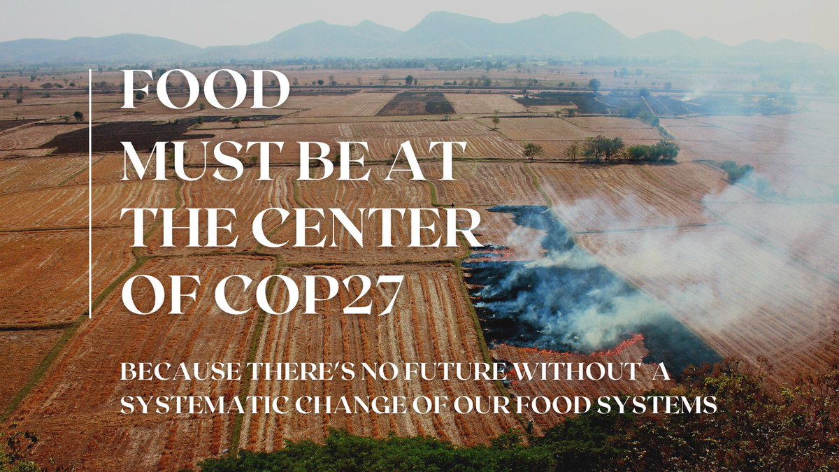 🌍 As #COP27 is now underway, we are raising the alarm about the urgent need for world leaders to make real progress toward tackling the impact of food and agriculture on #ClimateChange and building resilient #FoodSystems. 
🐌 Our statement bit.ly/3fKxvY0