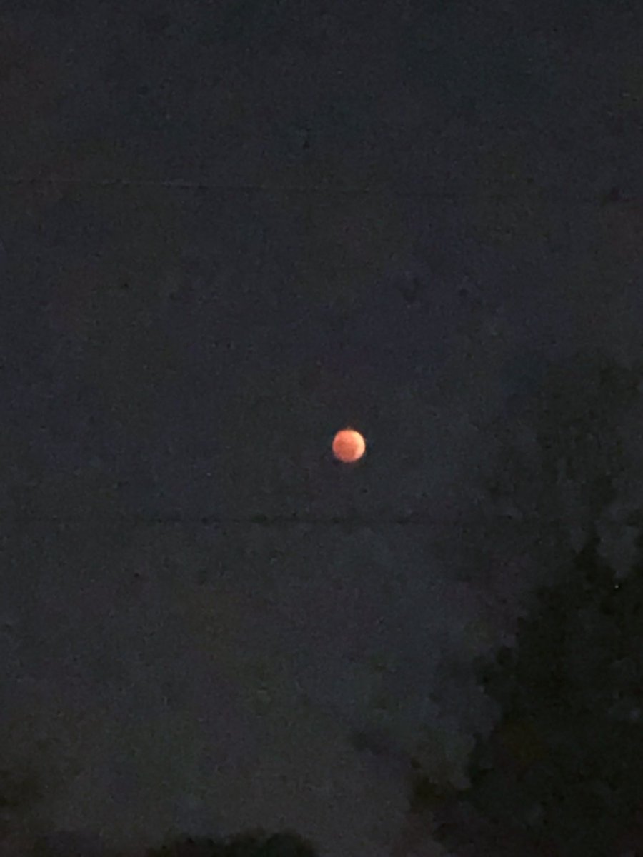 Diane Legros RN tweet media