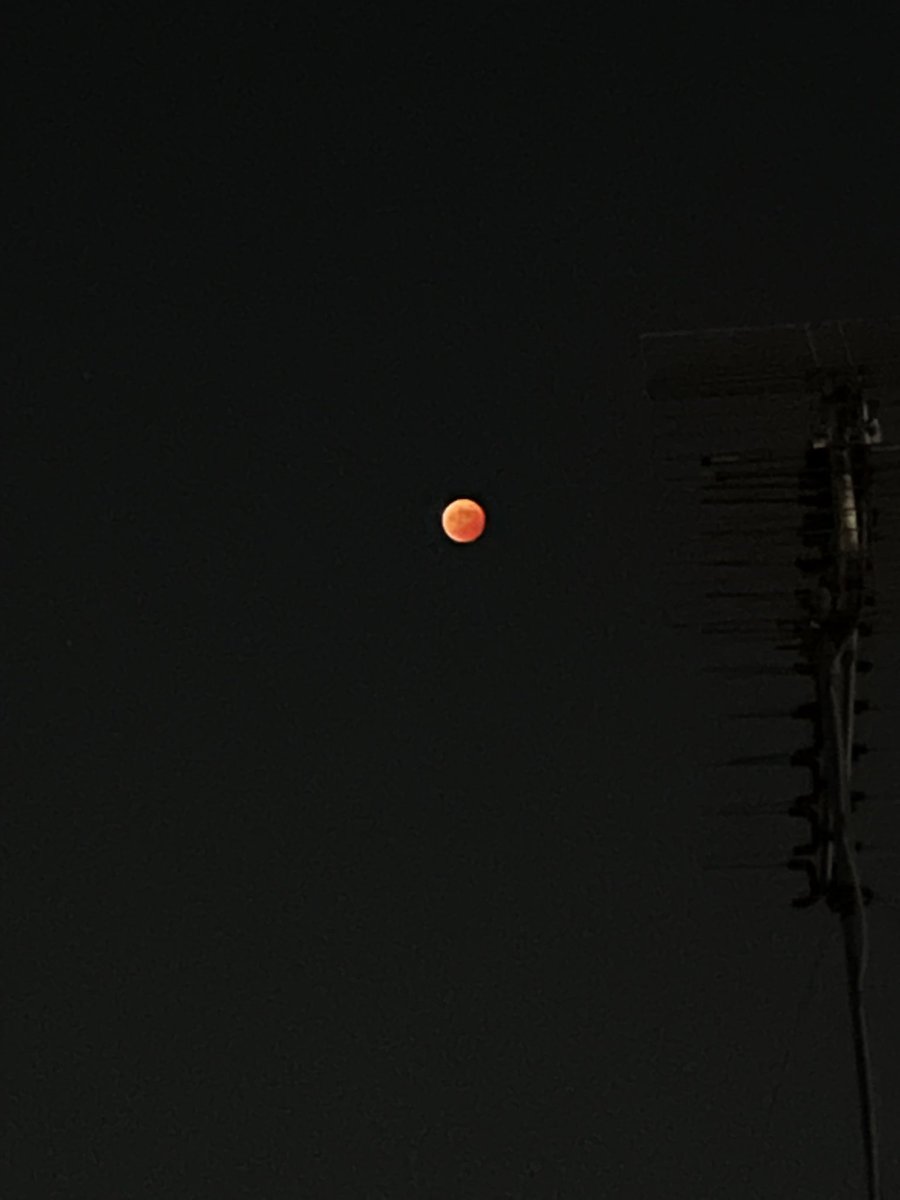 ainekoko's tweet photo. Total lunar eclipse
#TLE2022 https://t.co/8aBy9fp7P7