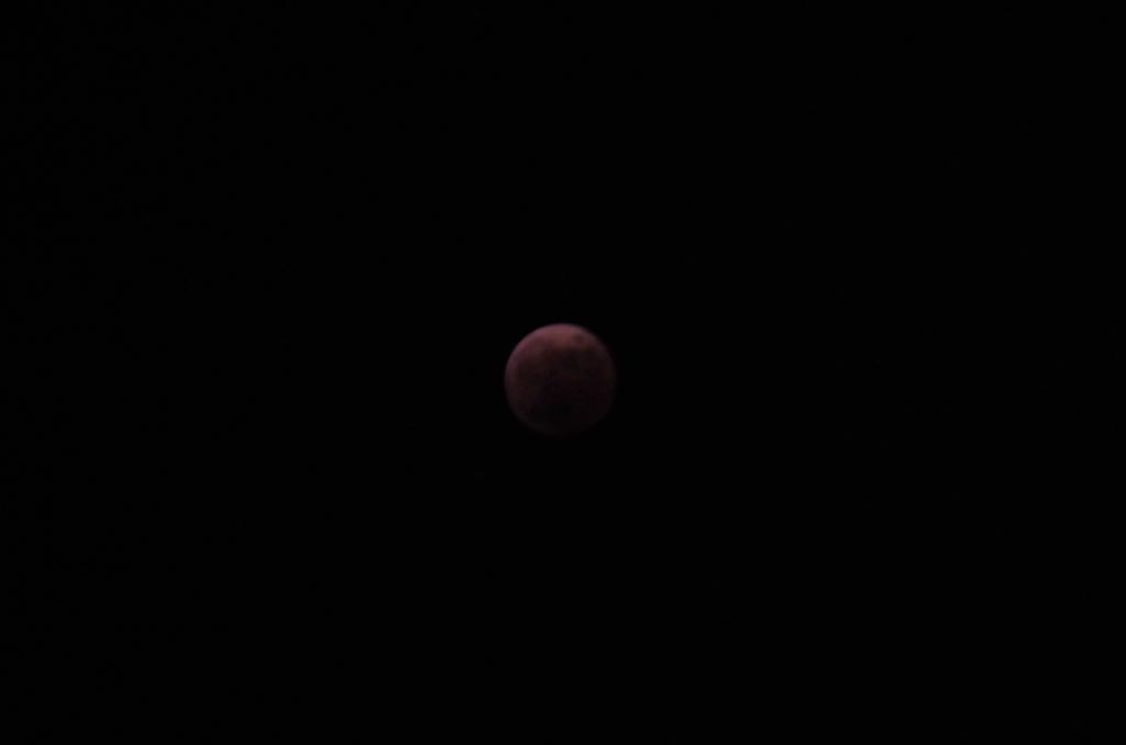 xEri's tweet photo. 皆既月食みれた🌙 https://t.co/Inshy2XIkd