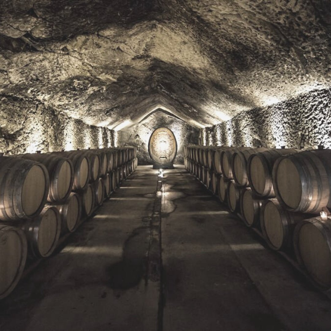FoundersCard's tweet photo. Explore the world of @BoisssetWinery where wines and lifestyle transcend the ordinary.
#founderscard #wine #winery #napavalley #boissetcollection #thatfounderlife #lifestyle #entrepreneurship #entrepreneur #business #entrepreneurlife https://t.co/sxHD0zfGpd