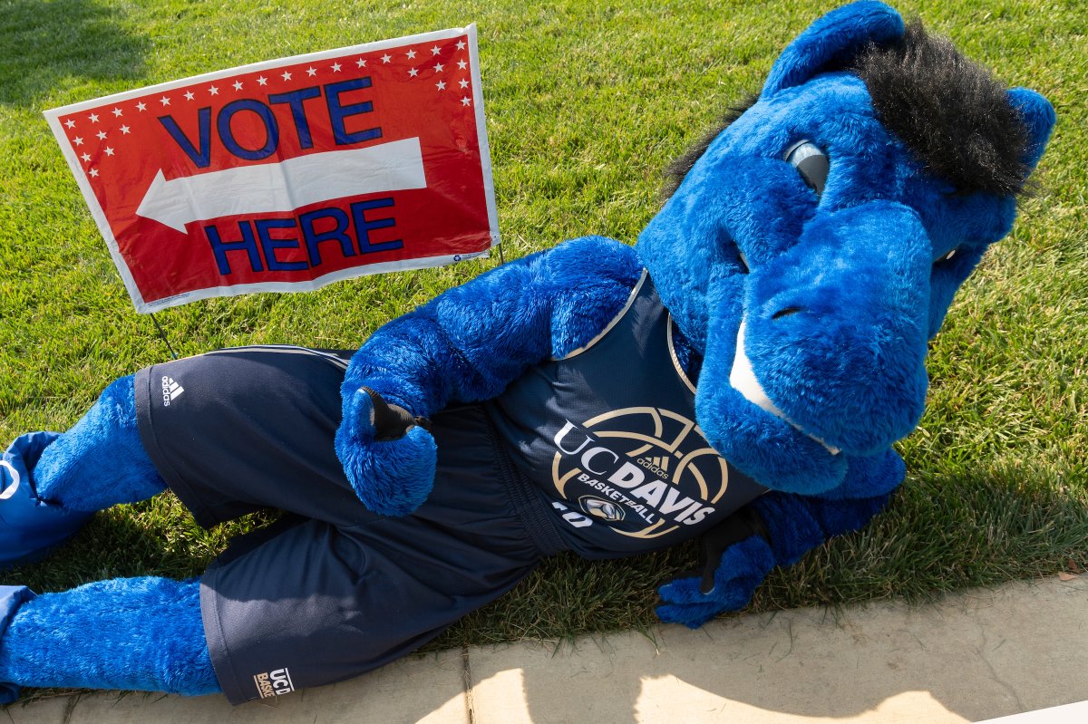 Election Day is today! You can find ballot drop-off and Voting Assistance Center information at aggiesvote.ucdavis.edu. Get out there and cast your votes, Aggies!