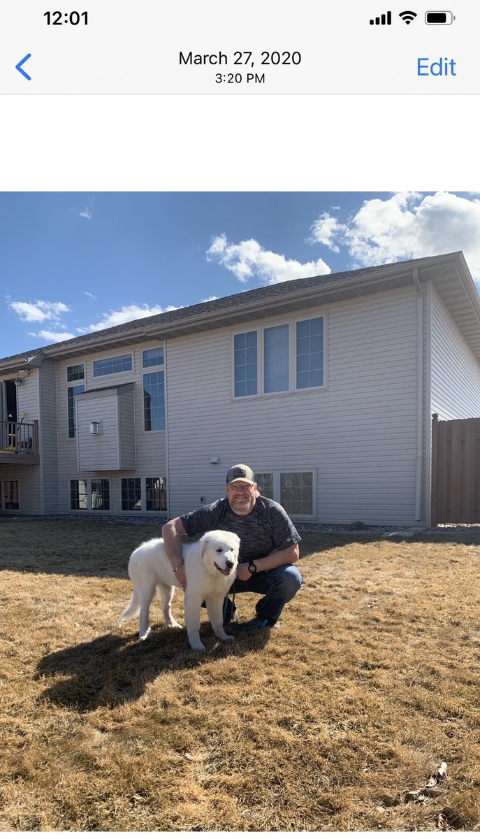 bigdaddyolson's tweet photo. Happy 3rd Birthday Beau. Big fluffy lap dog ⁦@madieolson11⁩ https://t.co/QMkHWGMPF8