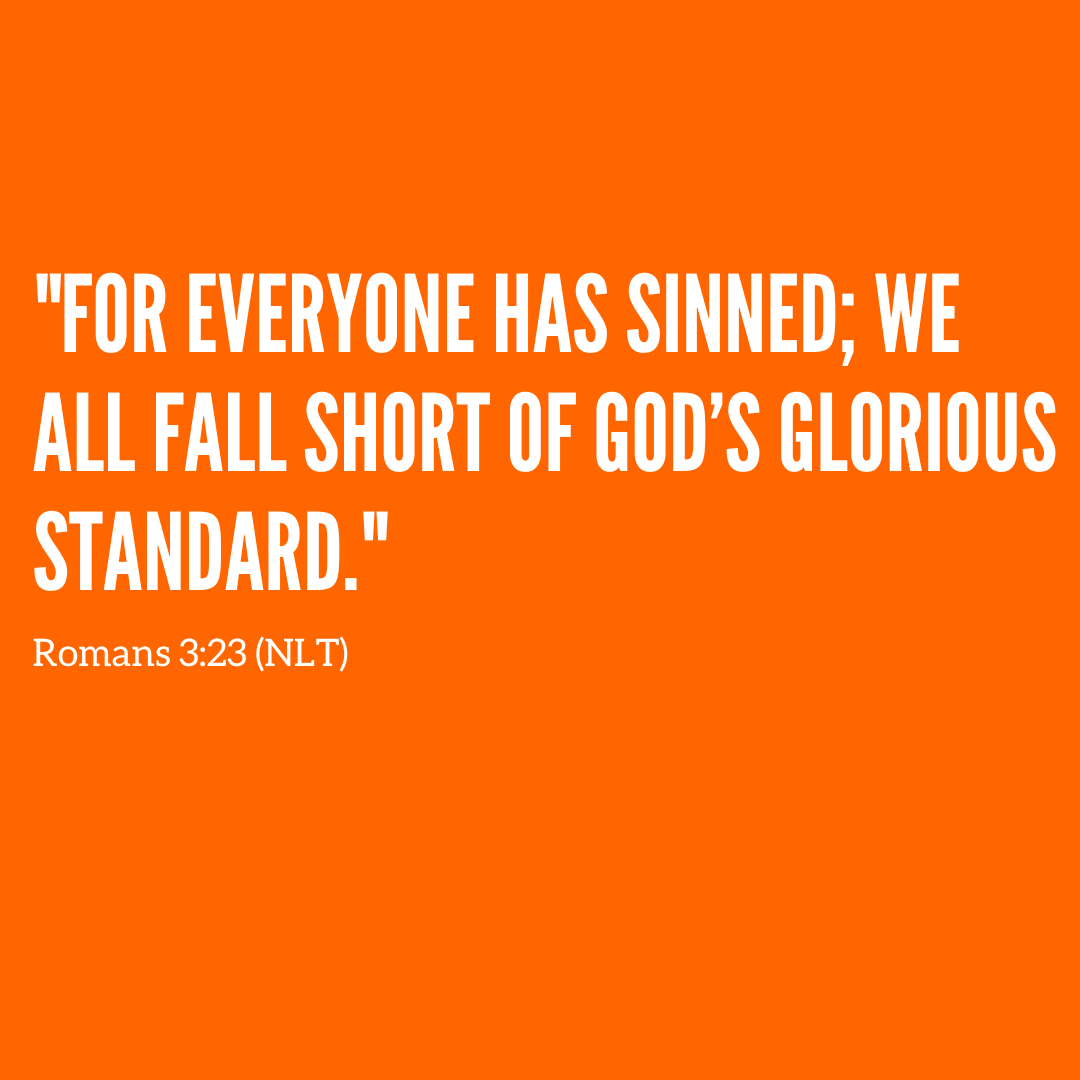 Vineyard N. Phoenix tweet media