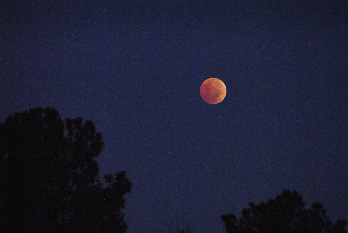 Matt Rice, M.Ed tweet media