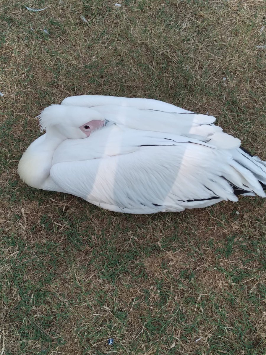 murat (@murat9396) on Twitter photo 