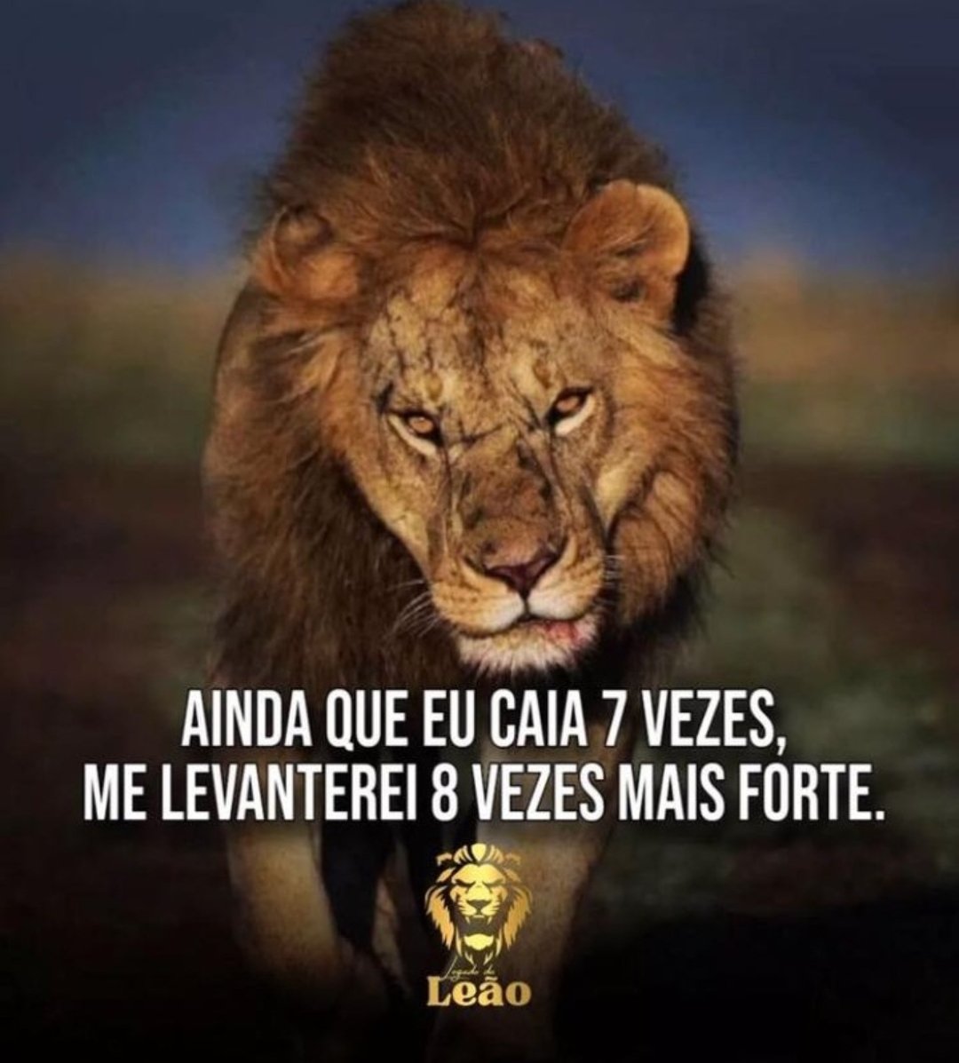 Porque o justo cai sete vezes e se levanta, mas os ímpios são abatidos pela calamidade.
Provérbios 24:16

✝️🛐🇧🇷