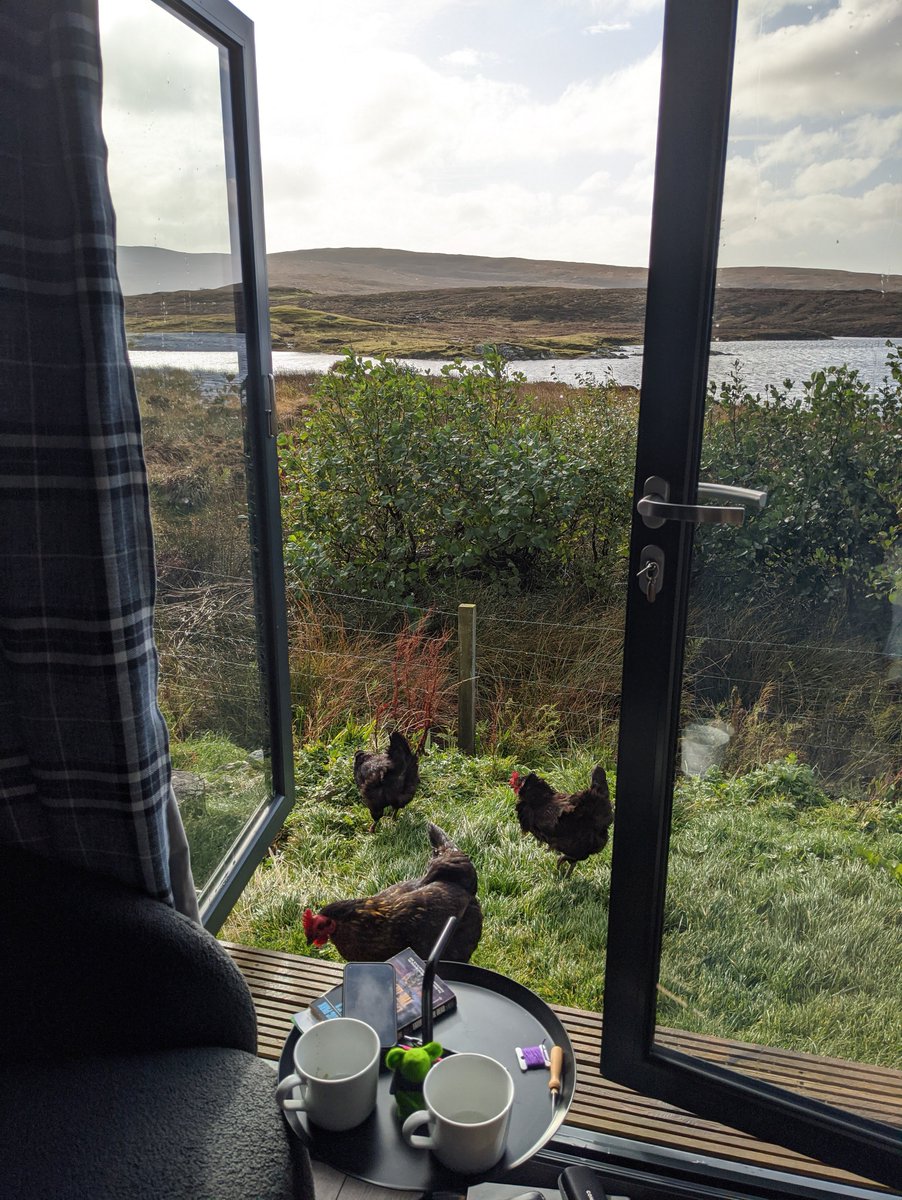 kashcahs's tweet photo. More holiday pics (I did warn you... 😂)
We stayed in a lovely, little self catering hut which was just a few steps from the loch we swam in. 
There were some rather nosey neighbours. There were also windy beach walks and stunning sunrises. https://t.co/GdrVMmvGF9