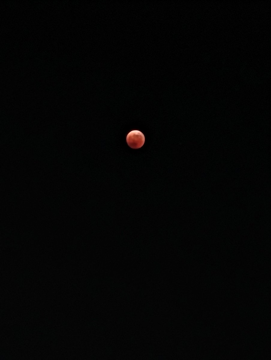 t48selfemployed's tweet photo. 1枚目、PIXEL7の限界
2枚目、LUMIX GM1 +LUMIX G VARIO 100-300mm
まぁよく頑張った https://t.co/X2YvtQAyX1