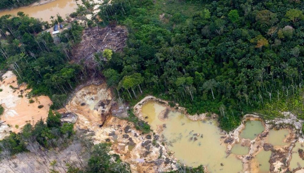 Guillerm__'s tweet photo. @ericfarns The guy responsible for this in Venezuelan Amazonia is in the COP27, what a scam https://t.co/dHiYG8wEDn