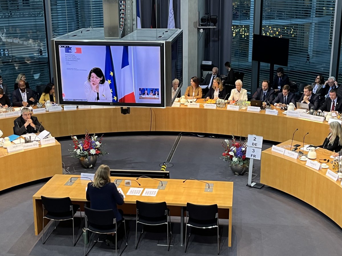 Gestern tagte die 🇩🇪/🇫🇷 parl. Versammlung (#DFPV), erstmals in neuer Besetzung. Weil d #DFMR abgesagt wurde, waren nun viele Augen auf die DFPV gerichtet. Gemeinsam mit <a href="/Kremer_K1/">Kenny Kremer</a> haben wir <a href="/dgapev/">DGAP</a> dazu etwas aufgeschrieben: dgap.org/de/forschung/p…. Beobachtungen im🧵, /1