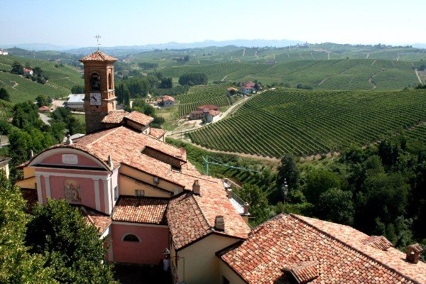 wine_school's tweet photo. International Newsletter - https://t.co/p9UYitE4rQ - Details of 3 special in-person tastings in the run up to the festive season https://t.co/9EcZ767Pdw