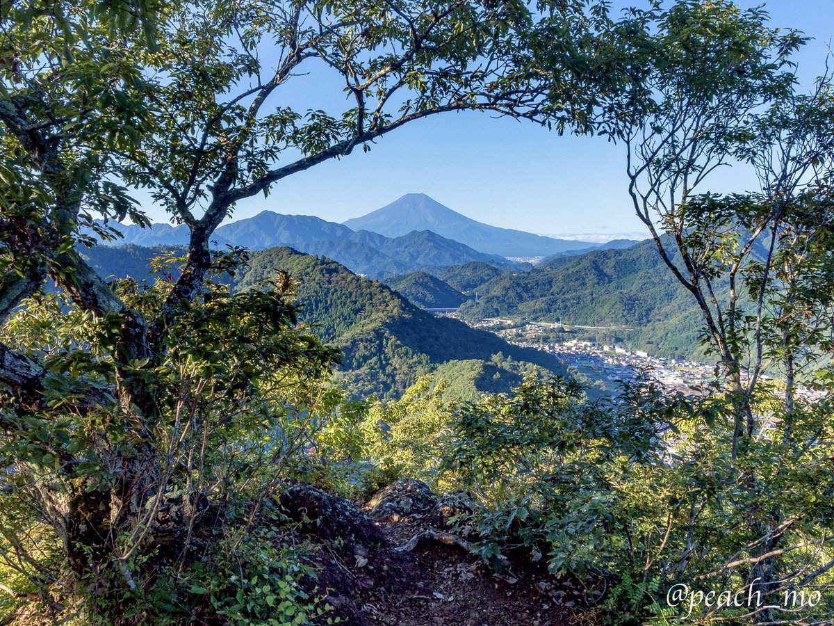 peach_mo's tweet image. 今日ついに菊花山のお気に入りの場所で紅葉と富士山の写真を撮ることができました。毎年秋に菊花山へ行くものの雲が多くてこの写真が撮れなかったんです。これでやっと春夏秋冬の写真が揃いました。うれしい。(写真の場所は大月駅側山頂手前、西の尾根です)