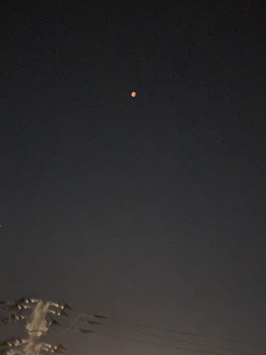 月が赤くなりました。
ミカンに似ている気がします。