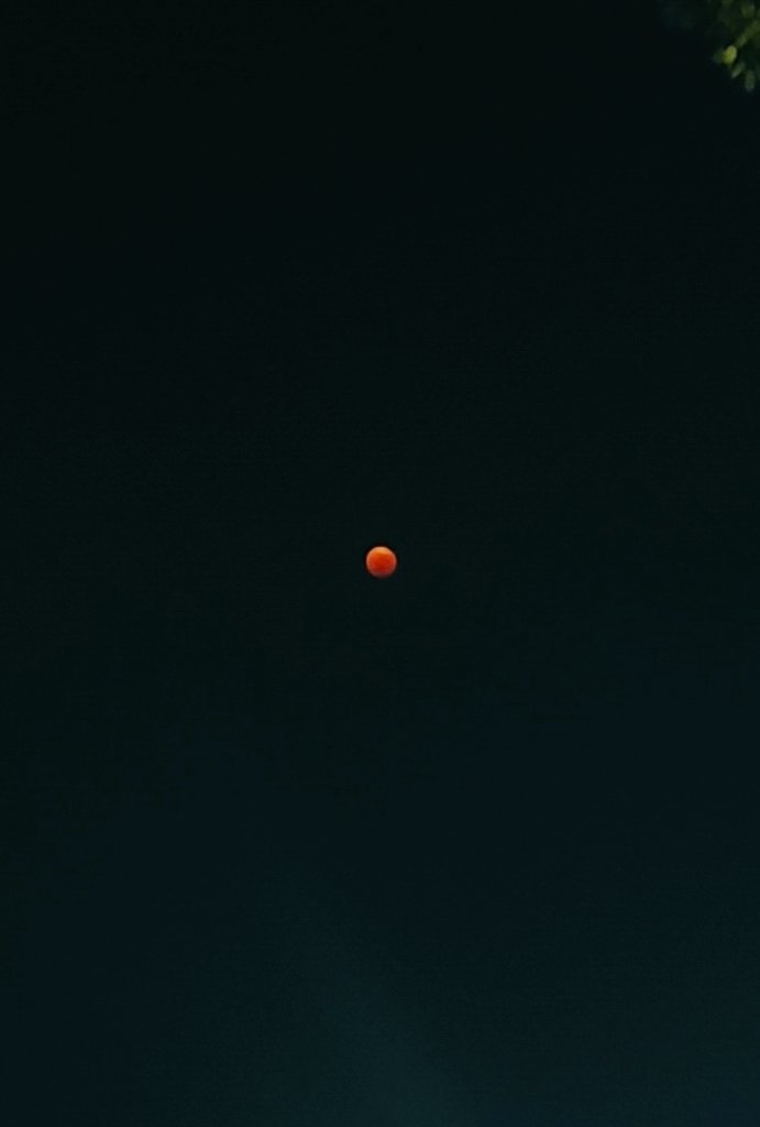 皆既月食撮ったけど
いくらにしか見えん