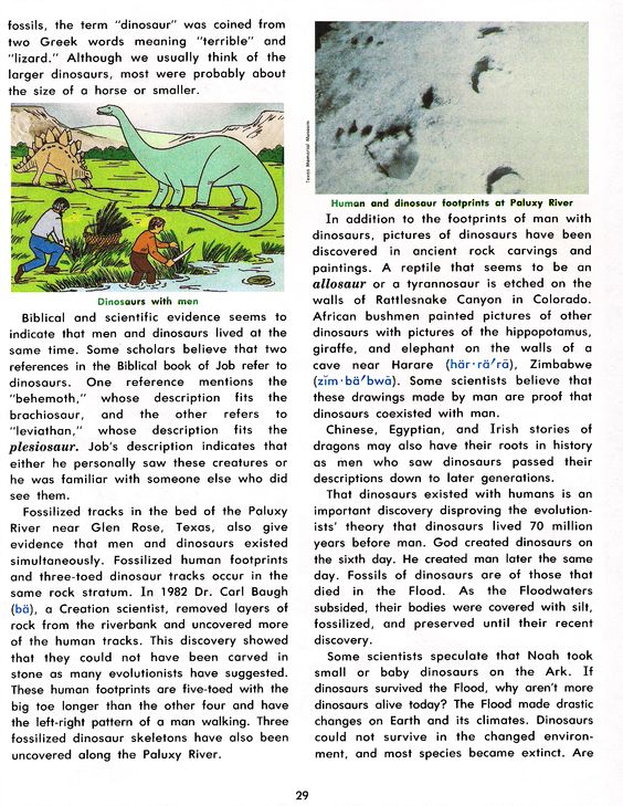 We asked to speak with a paleontologist from the Royal Saskatchewan Museum to tell us what scientific evidence indicates re: dinosaurs and humans living at the same time. We were told the education minister is not available. #skpoli #notkidding
cbc.ca/news/canada/sa…