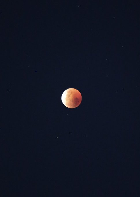 bloodmoon